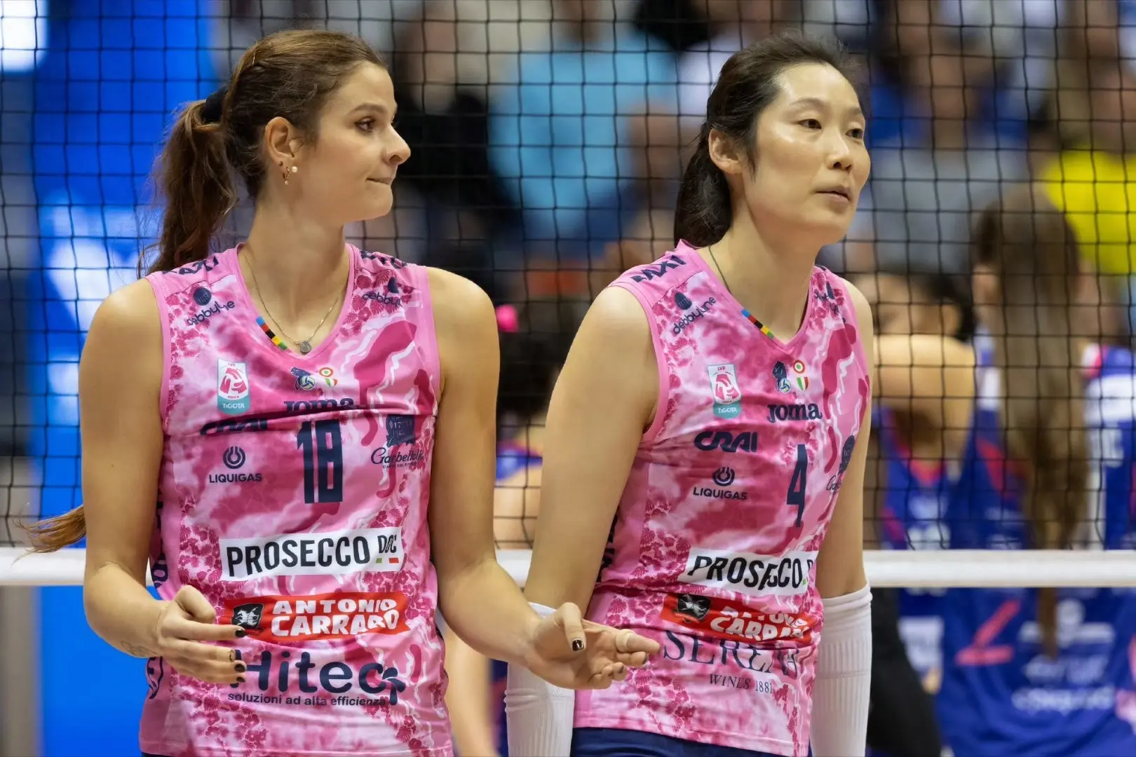 artic, 支队伍已确